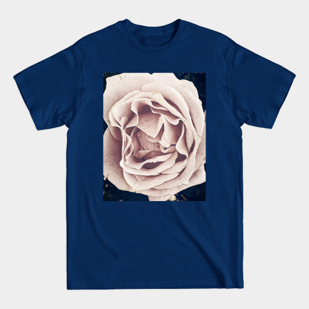 Pink Rose Pink Rose T Shirt Designed And Sold By Gary Mcdonald