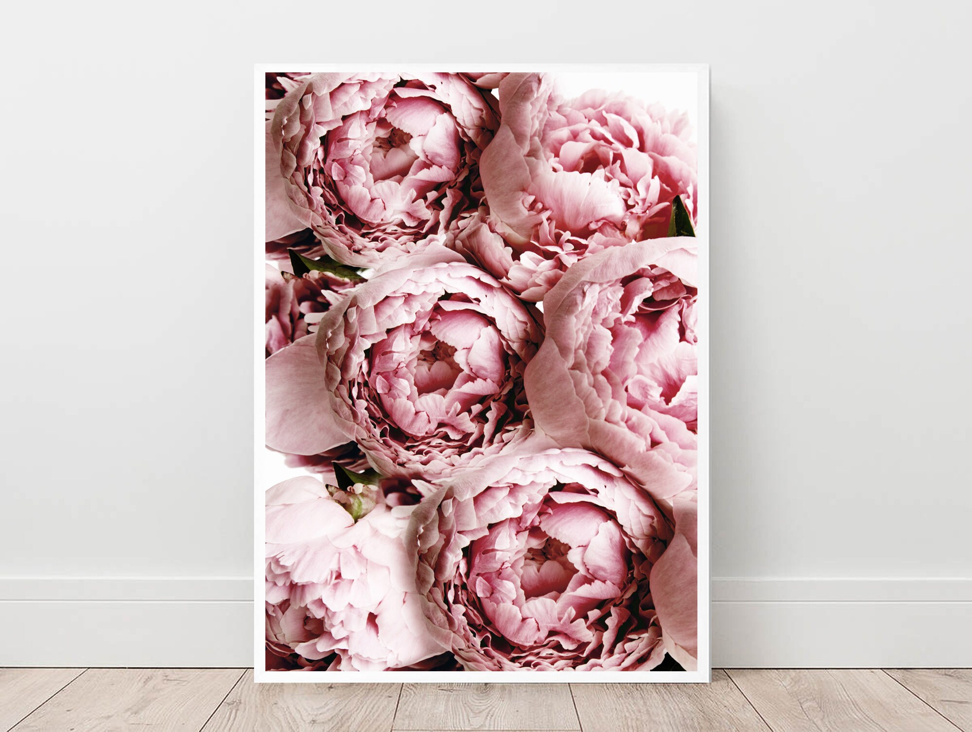Peonies Print, Peonies Art Decor, Flowers Photography, Blush Pink Decor ...