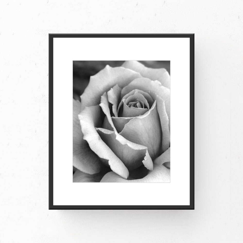 Black And White ROSE PRINT, Printable Wall Art, Black And White, Rose ...