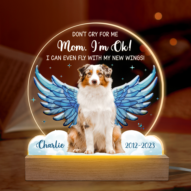 Discover Custom Photo I Can Even Fly With My New Wings - Memorial Personalized Custom Shaped 3D LED Light - Sympathy Gift For Pet Owners, Pet Lovers