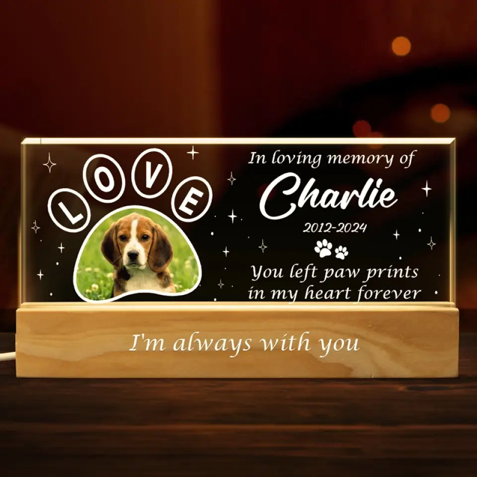Discover Custom Photo Your Light Will Always Shine In My Heart - Memorial Personalized Custom Acrylic Letters 3D LED Night Light - Sympathy Gift For Pet Owners, Pet Lovers