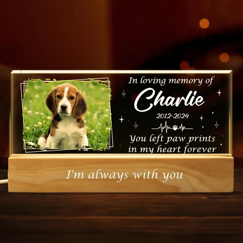 Discover Custom Photo You Left Paw Prints In My Heart Forever - Memorial Personalized Custom Acrylic Letters 3D LED Night Light - Sympathy Gift For Pet Owners, Pet Lovers