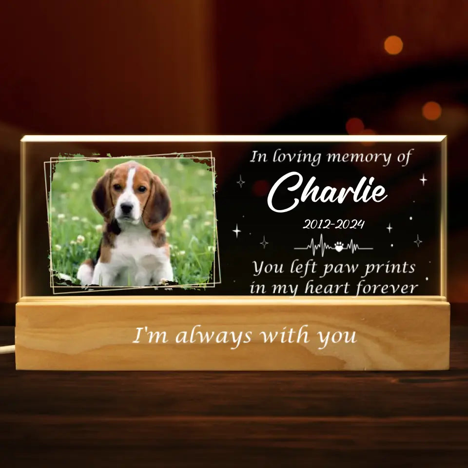 Custom Photo You Left Paw Prints In My Heart Forever - Memorial Personalized Custom Acrylic Letters 3D LED Night Light - Sympathy Gift For Pet Owners, Pet Lovers
