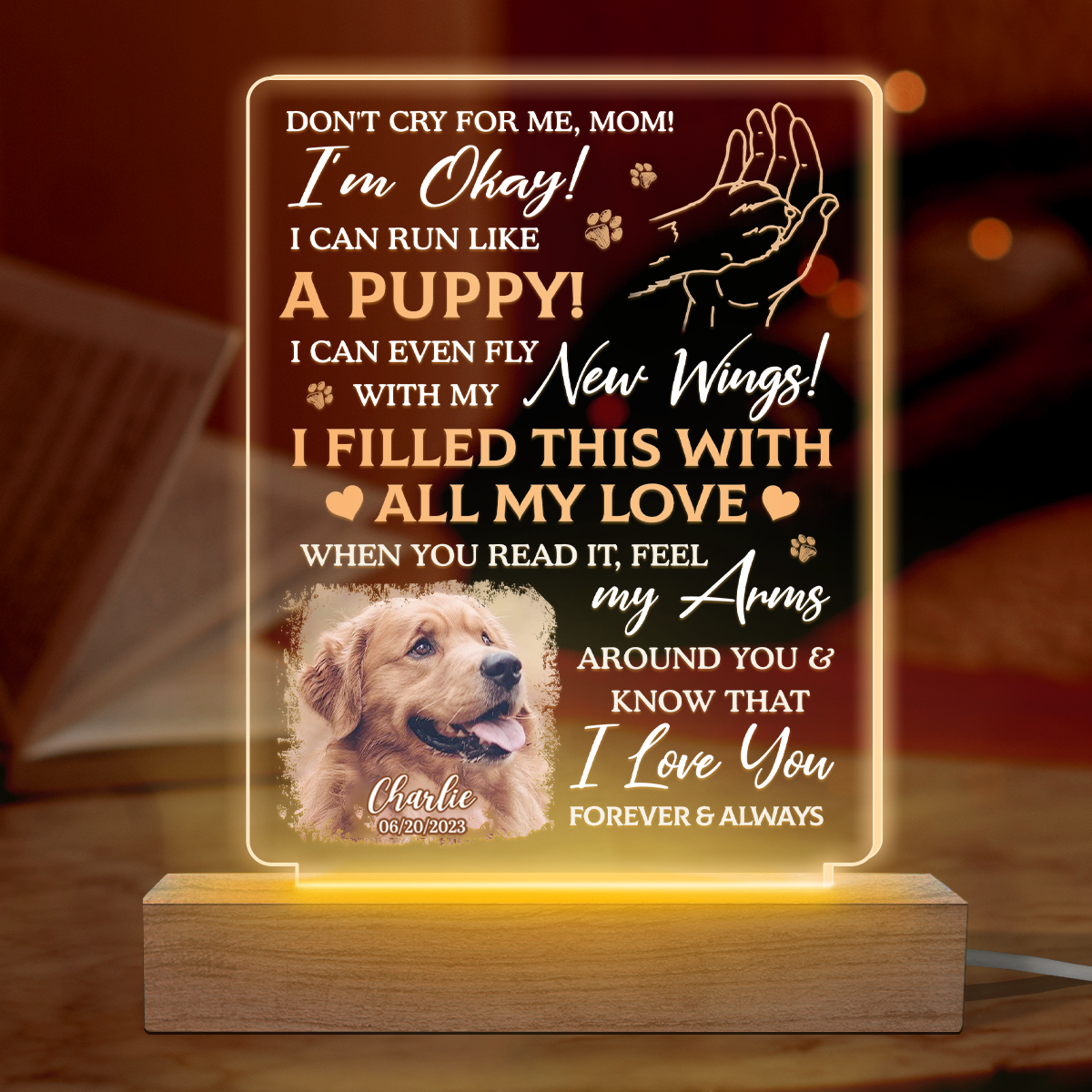 Custom Photo I Filled This With All My Love - Memorial Personalized Custom Shaped 3D LED Light - Sympathy Gift For Pet Owners, Pet Lovers