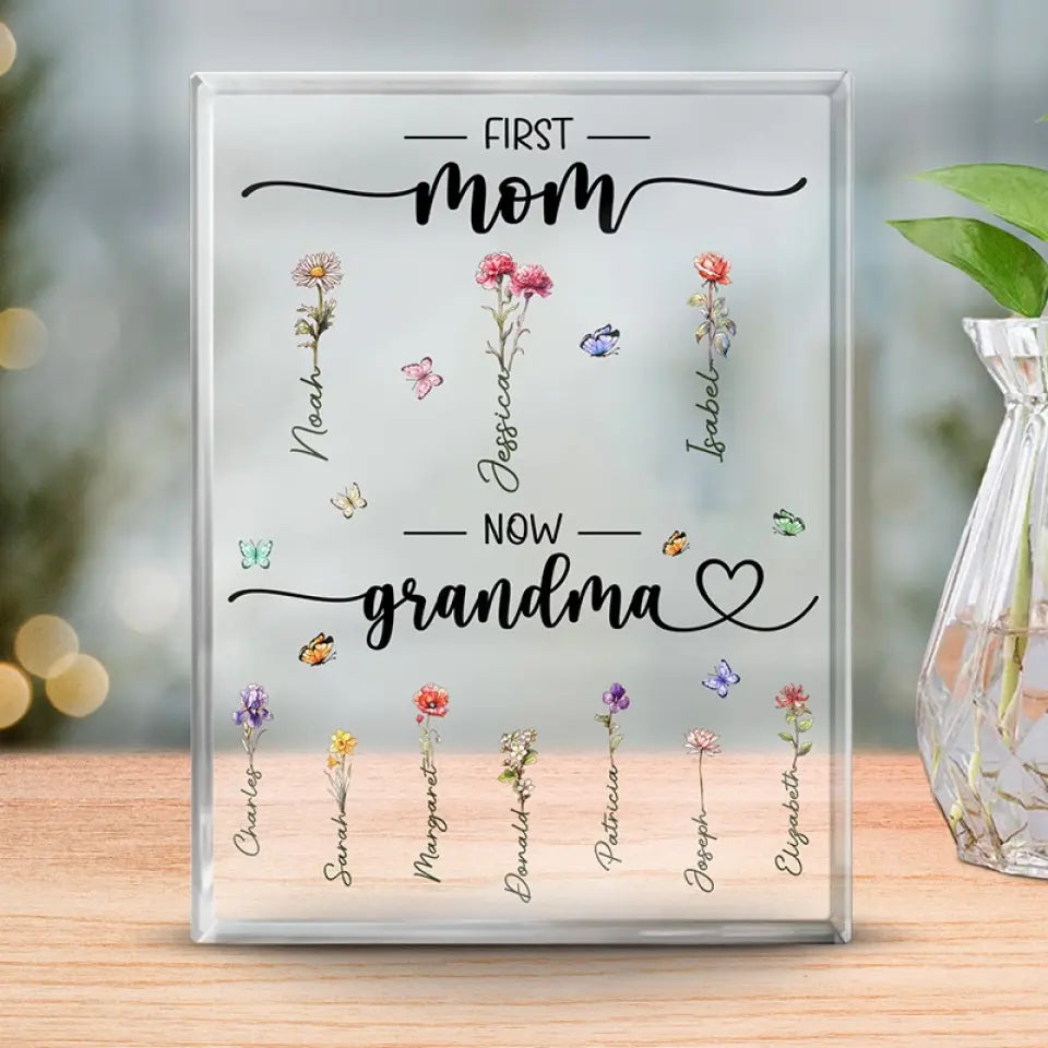 Discover Proud Grandma Of A Few Kids - Family Personalized Custom Rectangle Shaped Acrylic Plaque - Gift For Mom, Grandma