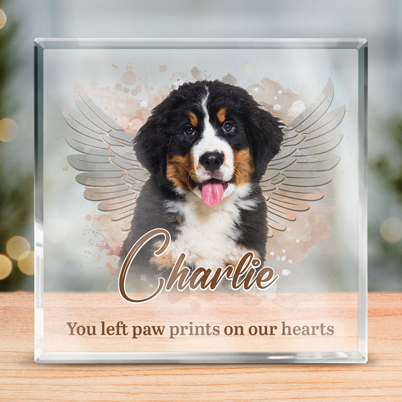 Discover Pets Teach Us The Purest Kind Of Love - Memorial Personalized Custom Square Shaped Acrylic Plaque - Sympathy Gift, Gift For Pet Owners, Pet Lovers