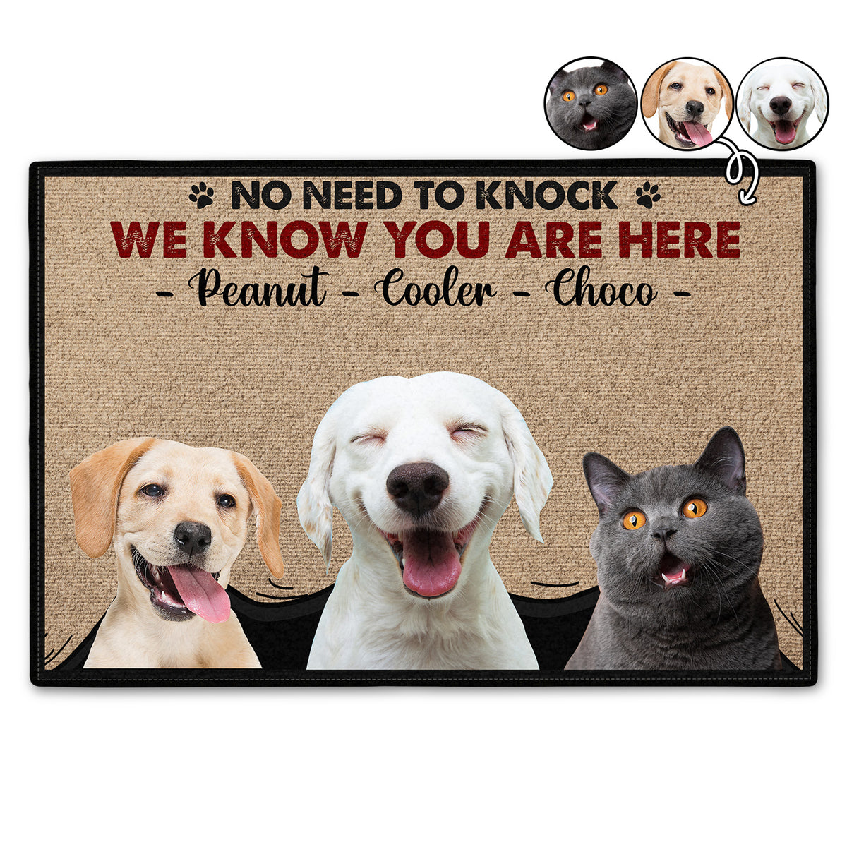 Custom Photo Dog Cat No Need To Knock Gift For Pet Lovers Personalized Doormat