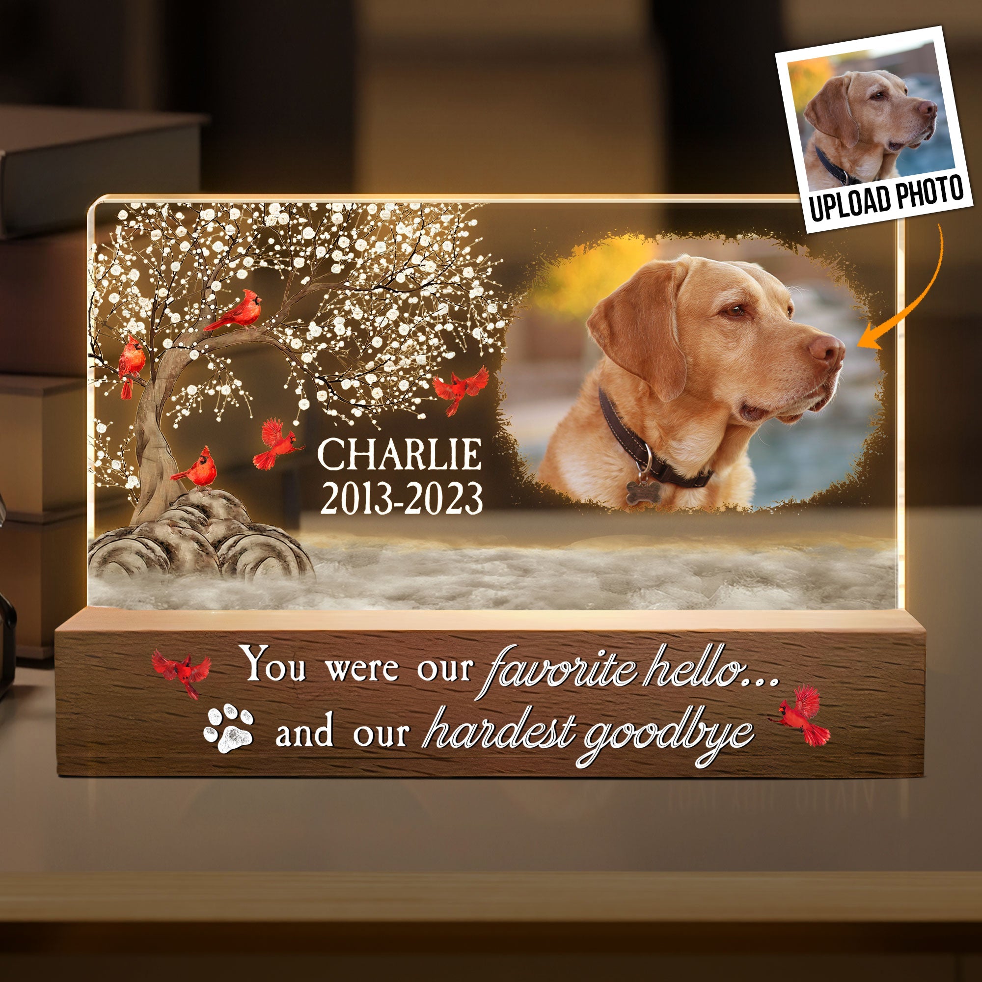 You Were My Favorite Hello And My Hardest Goodbye - Personalized Photo Led Night Light