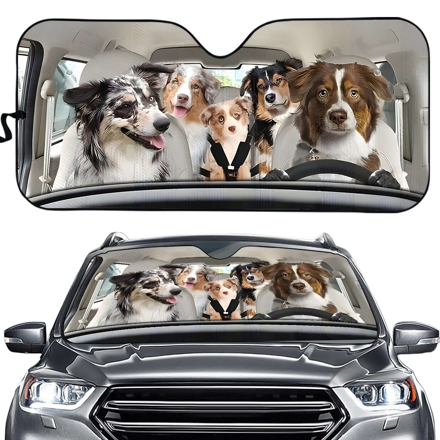 Family Australian Shepherd Driving Car Sunshade, Australian Shepherd Auto Sunshade
