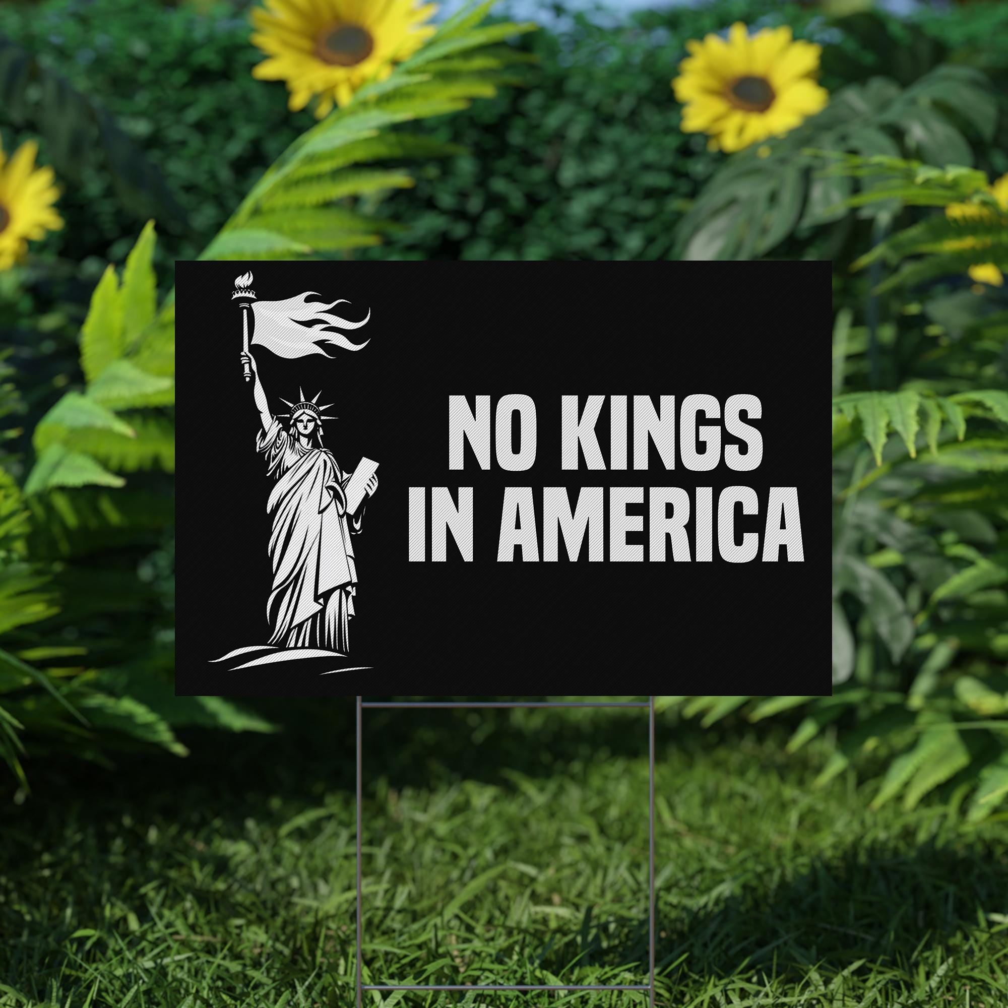 No Kings In America Yard Sign, Anti Fascism Fascist Maga Republican