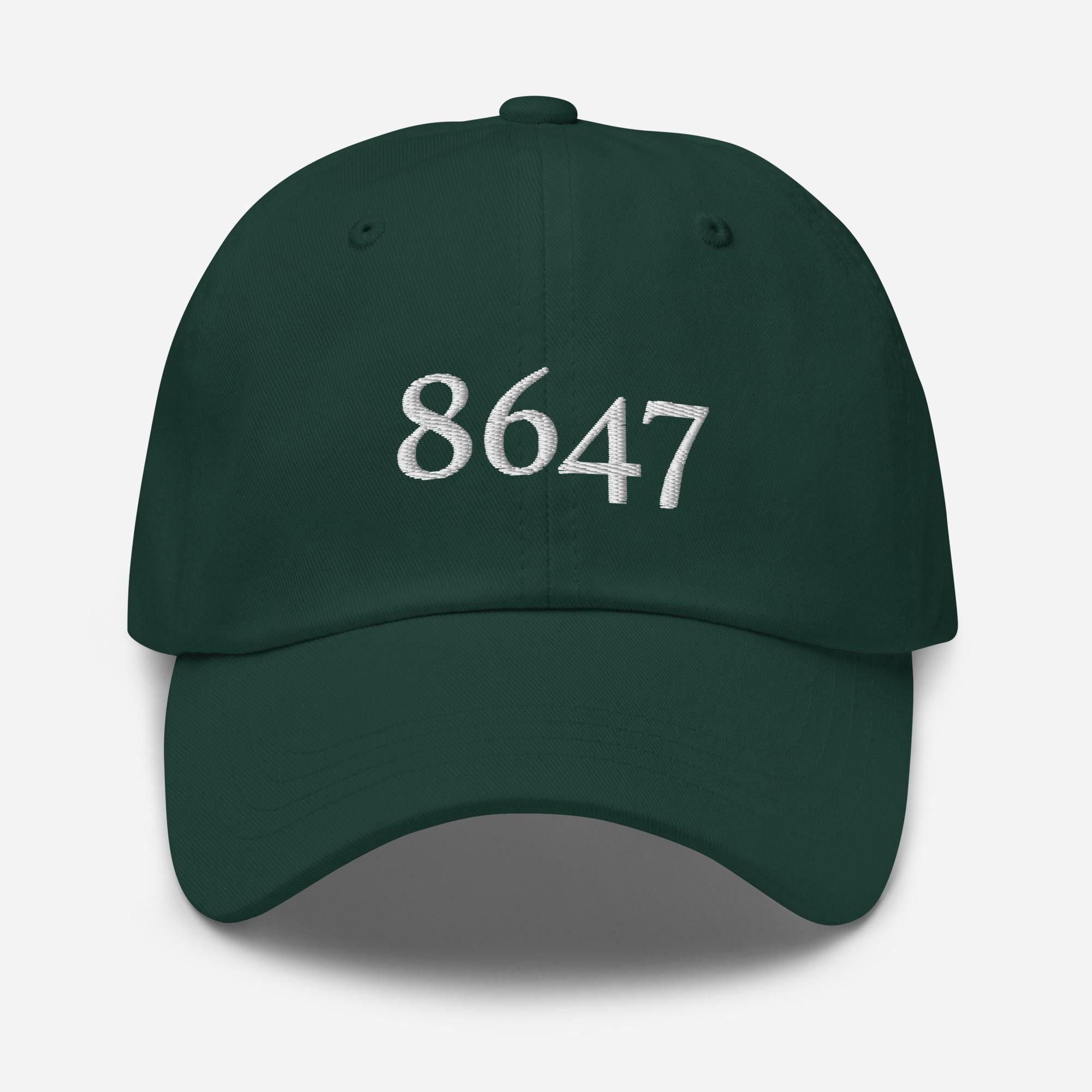 8647 Hat, Subtle Anti-trump Hat, Fdt, Anti-maga, Anti- Fascist Hat, The People Have The Power,