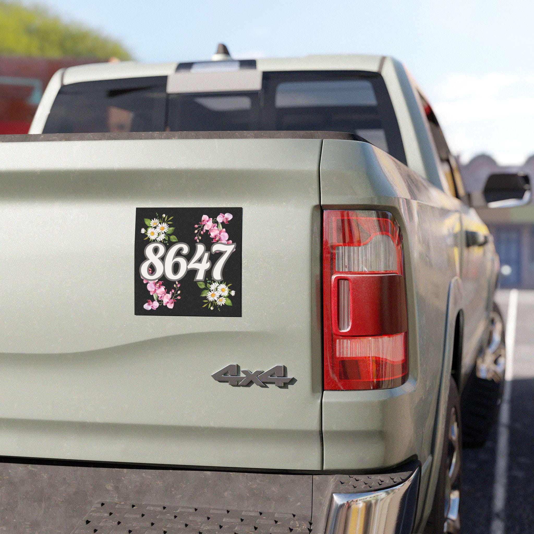 8647 Car Magnet