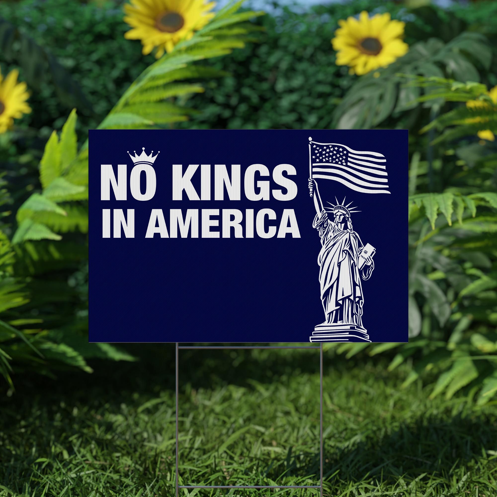 No Kings In America Yard Sign,protect Democrace Yard Sign