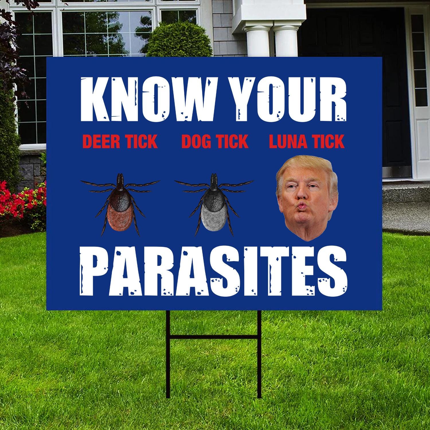 Hands Off Protest Yard Sign, Social Security Sign, Political Sign, Medicare Sign