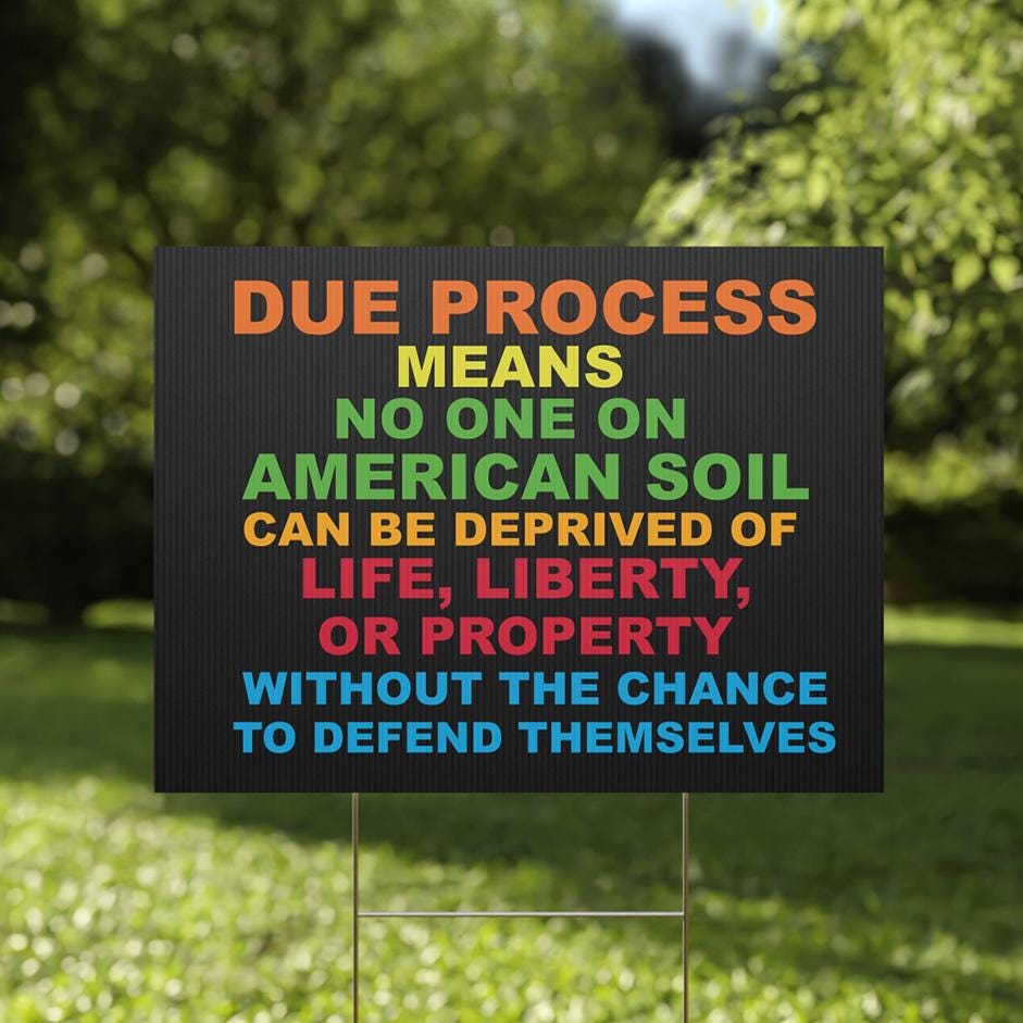 Due Process Yard Sign (24x18), (12x18) - Anti-authoritarian, Save Democracy