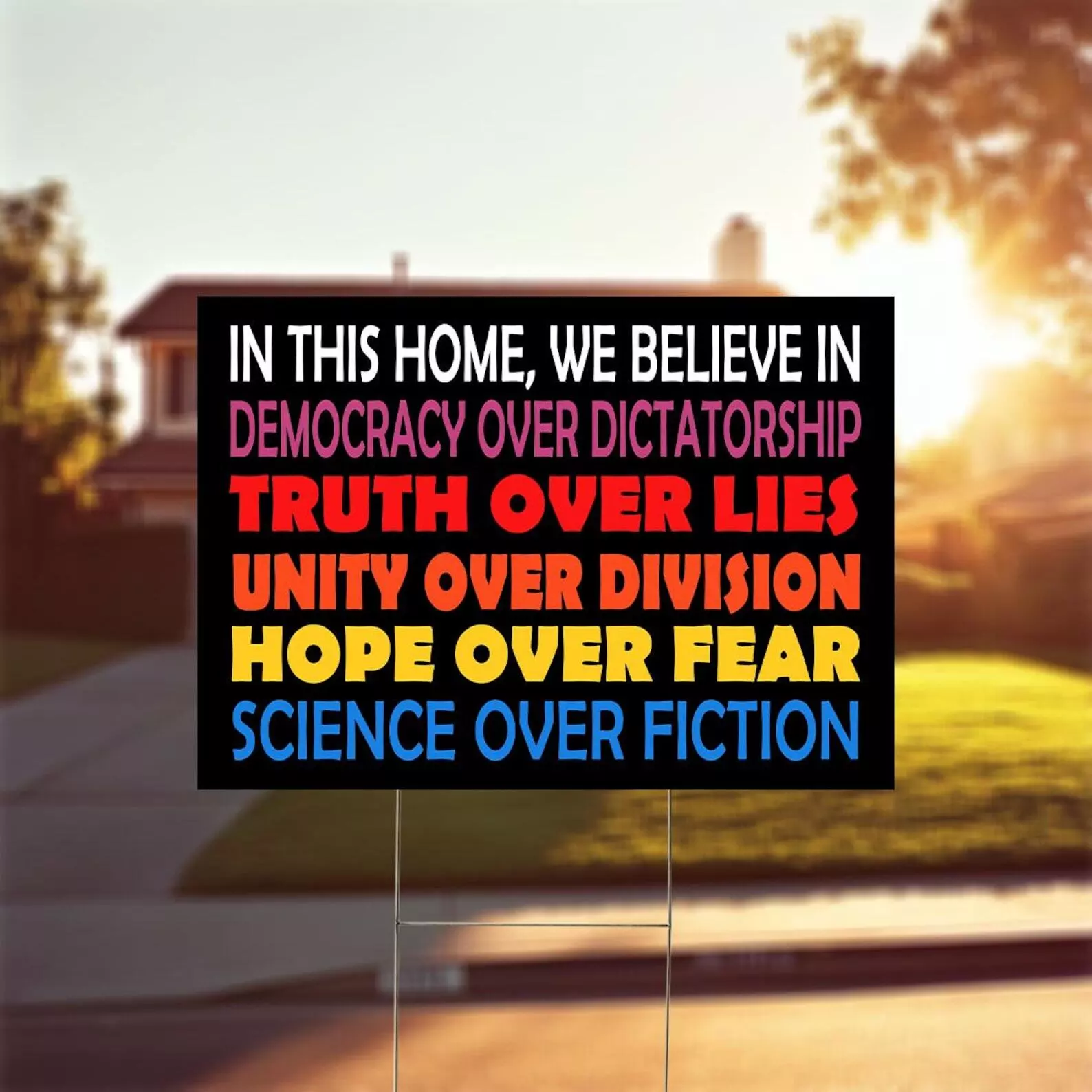 In This Home We Believe In Democracy Over Dictatorship Political Yard Sign