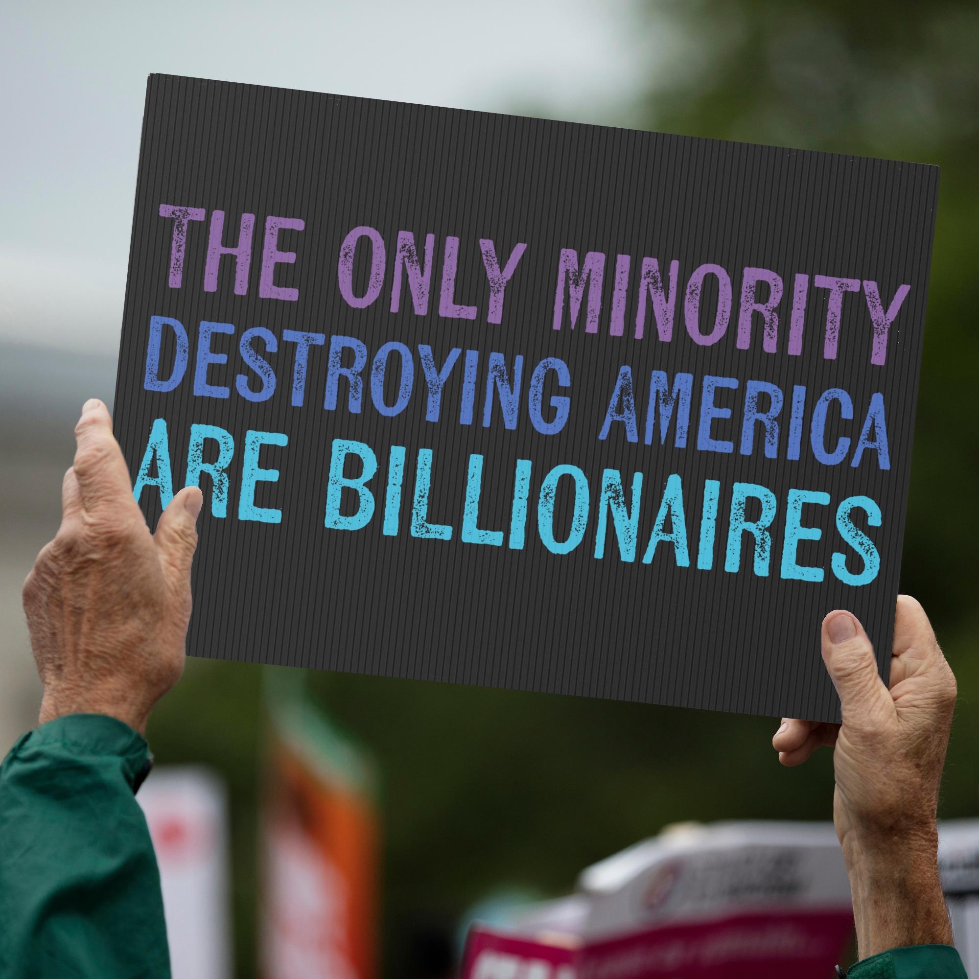 Anti Billionaire Protest Sign, Political Rally Sign, Wealth Inequality Poster, Eat The Rich March, Activist Protest Board