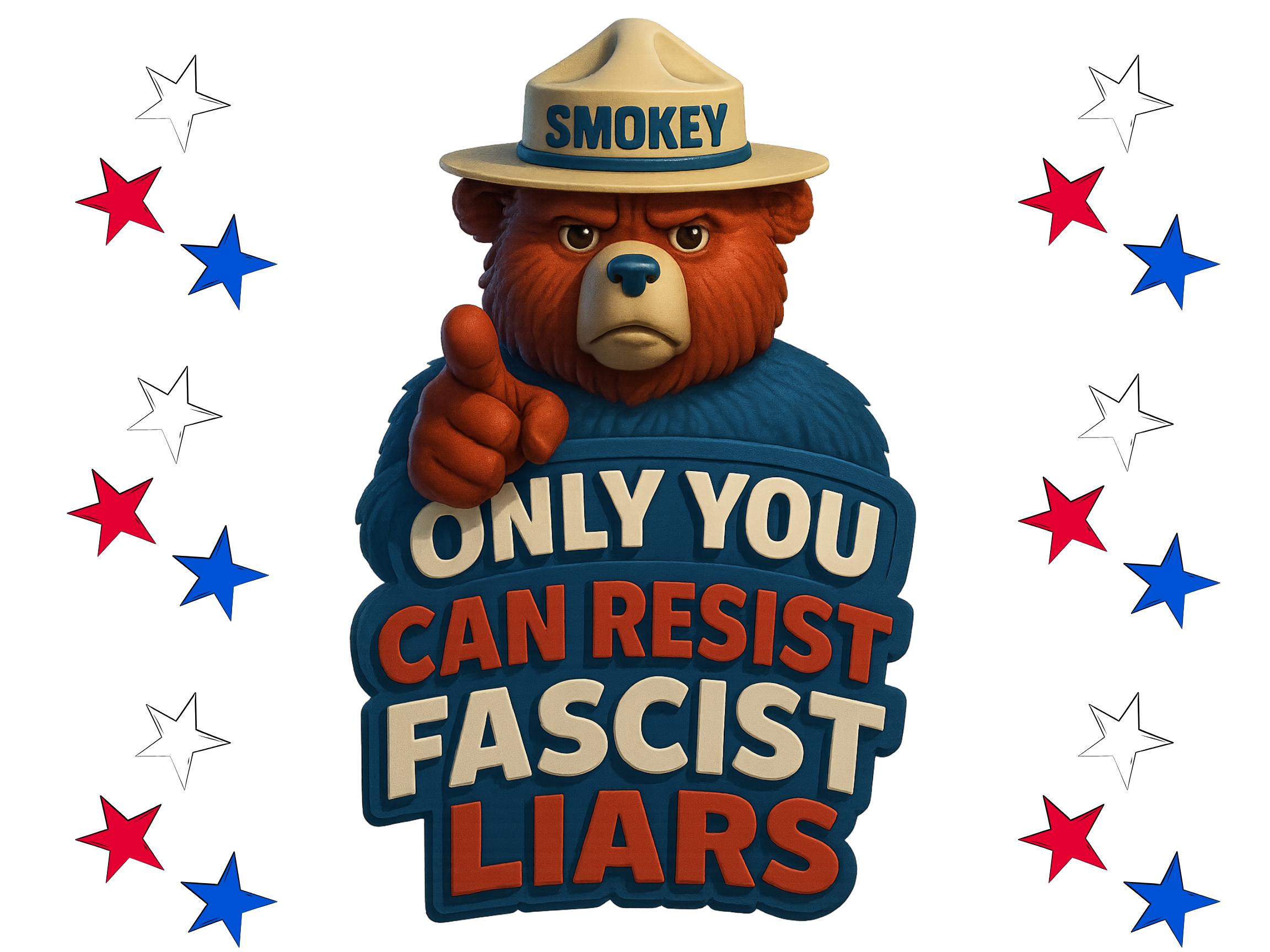 Only You Can Resist Fascist Liars Protest Sign, Activist Poster, Anti-fascism Art
